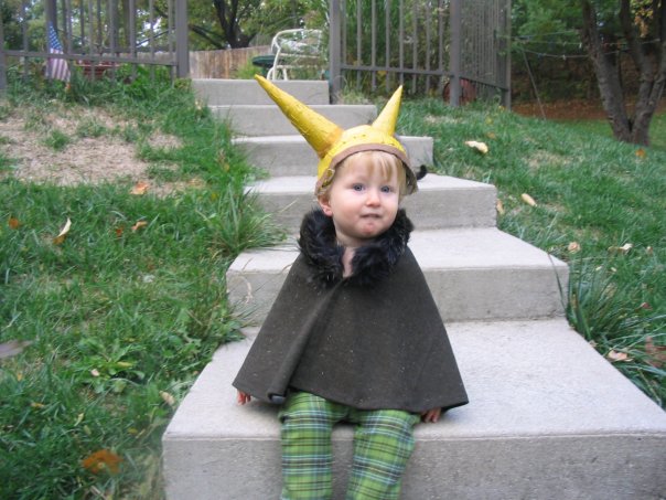 Homemade Halloween Costume Ideas: the Viking